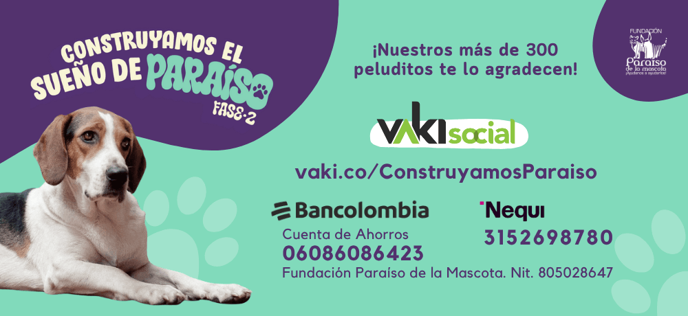 Campaña 1