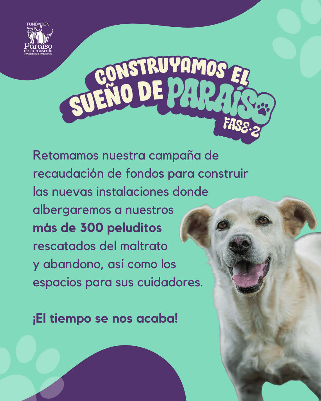 SOS! 🚨 Nos tenemos que trastear y 300 peludos dependen de nosotros