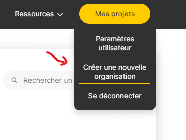 créer une nouvelle organisation