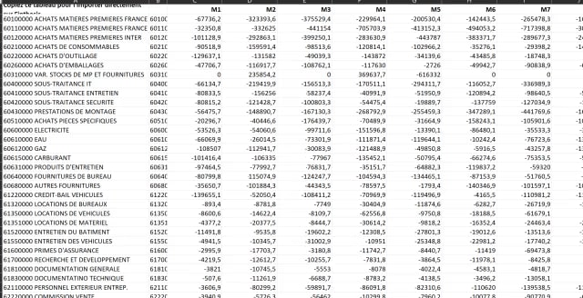 budget excel