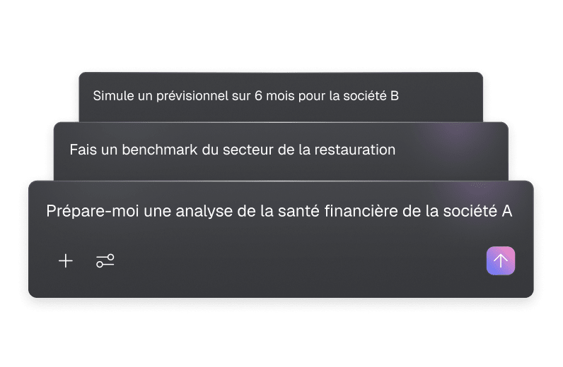 Examples of prompts for the Finthesis LLM