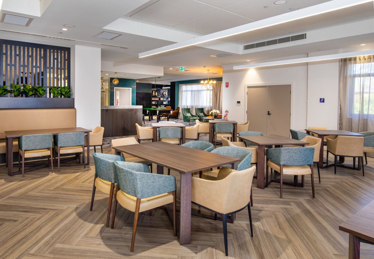 QLD Silver Ash Flinders Range