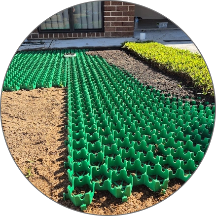 a picture of a row of green plastic plants