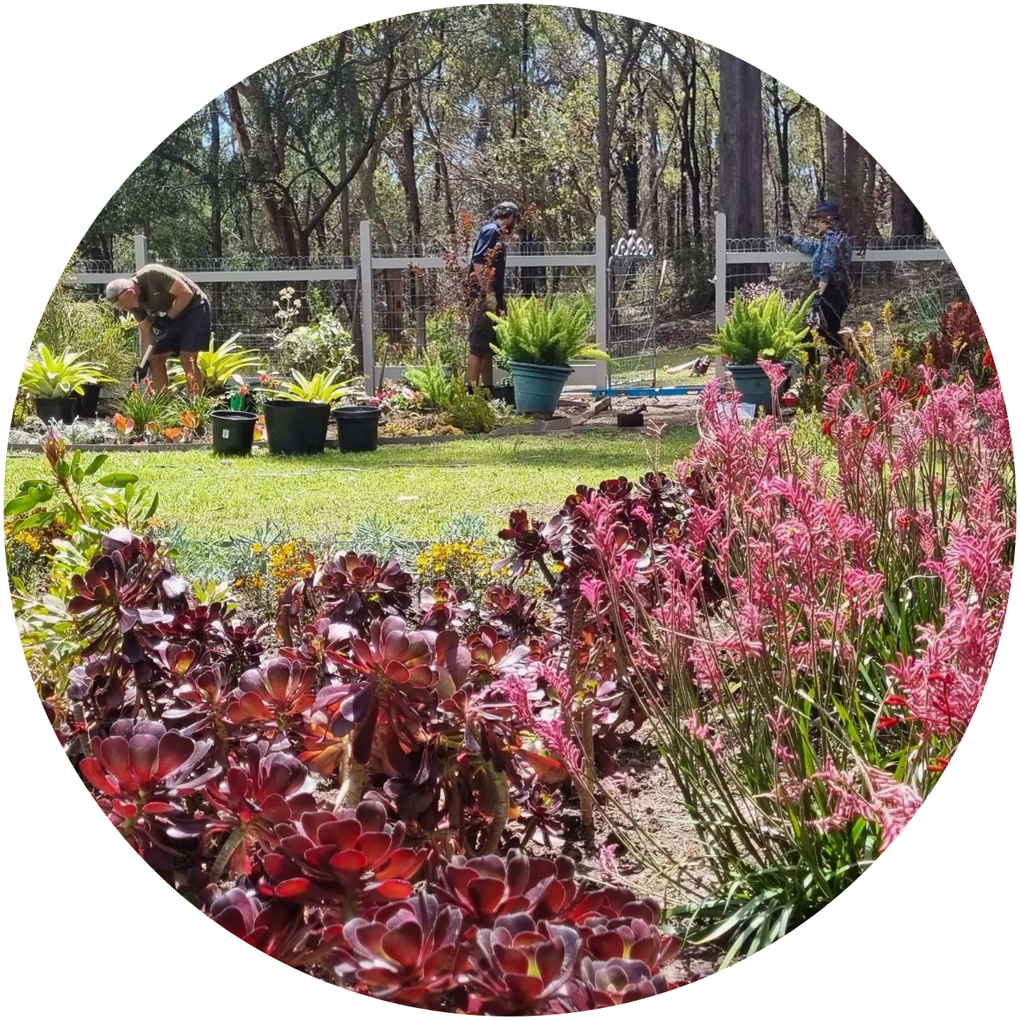 a group of people working in a garden