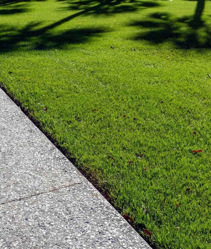 New home turfing