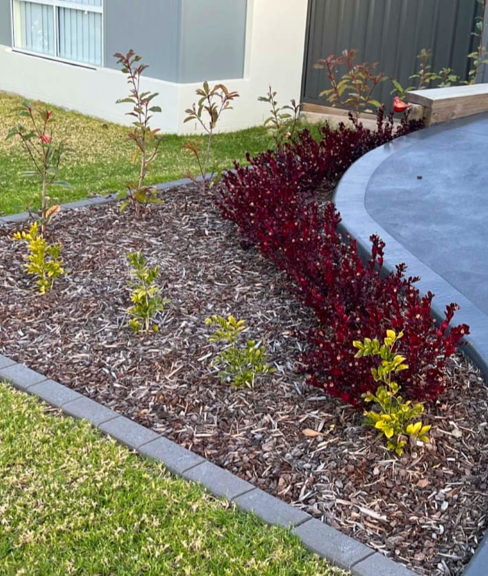 New home gardens