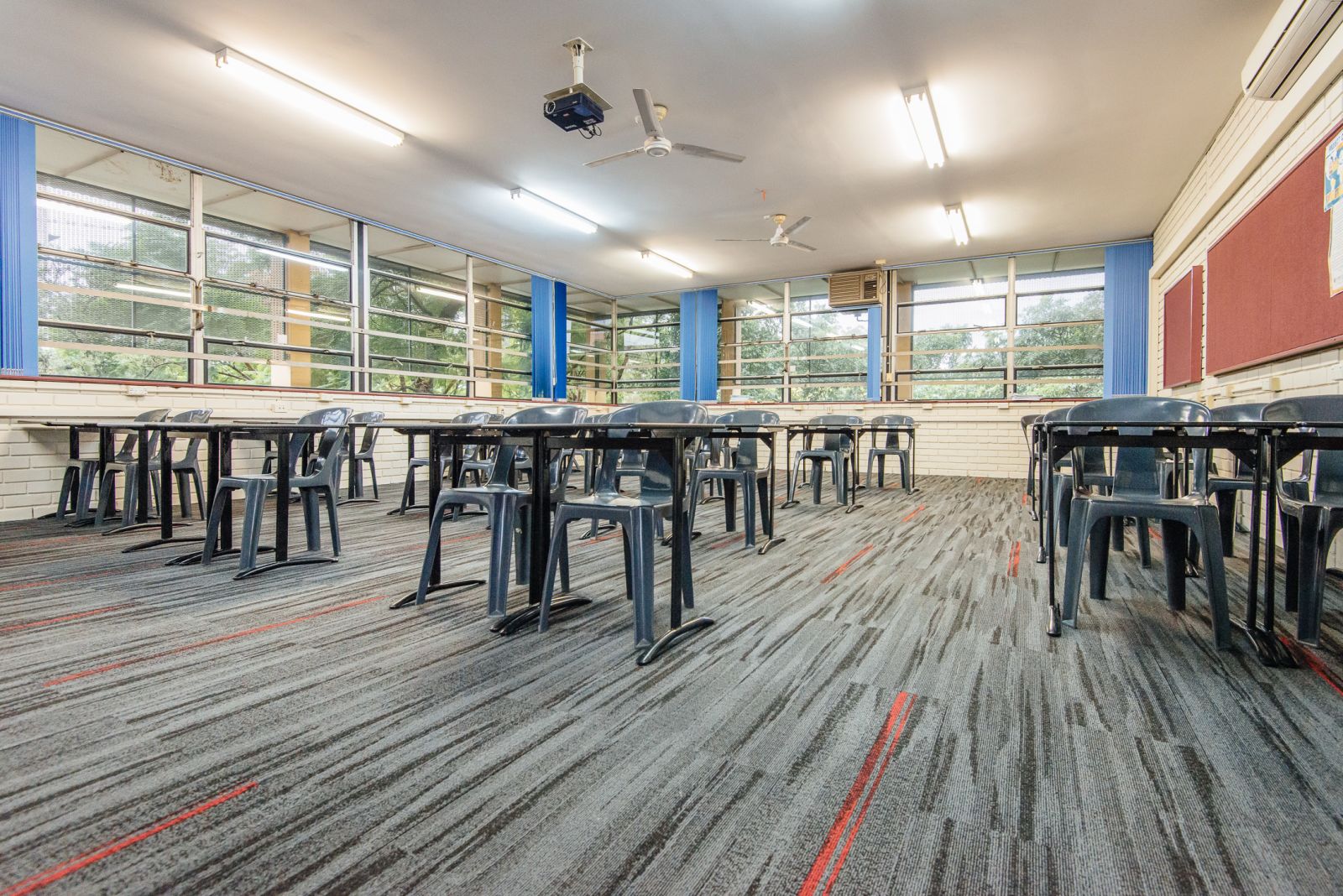 Austral Lights - Charcoal and Red