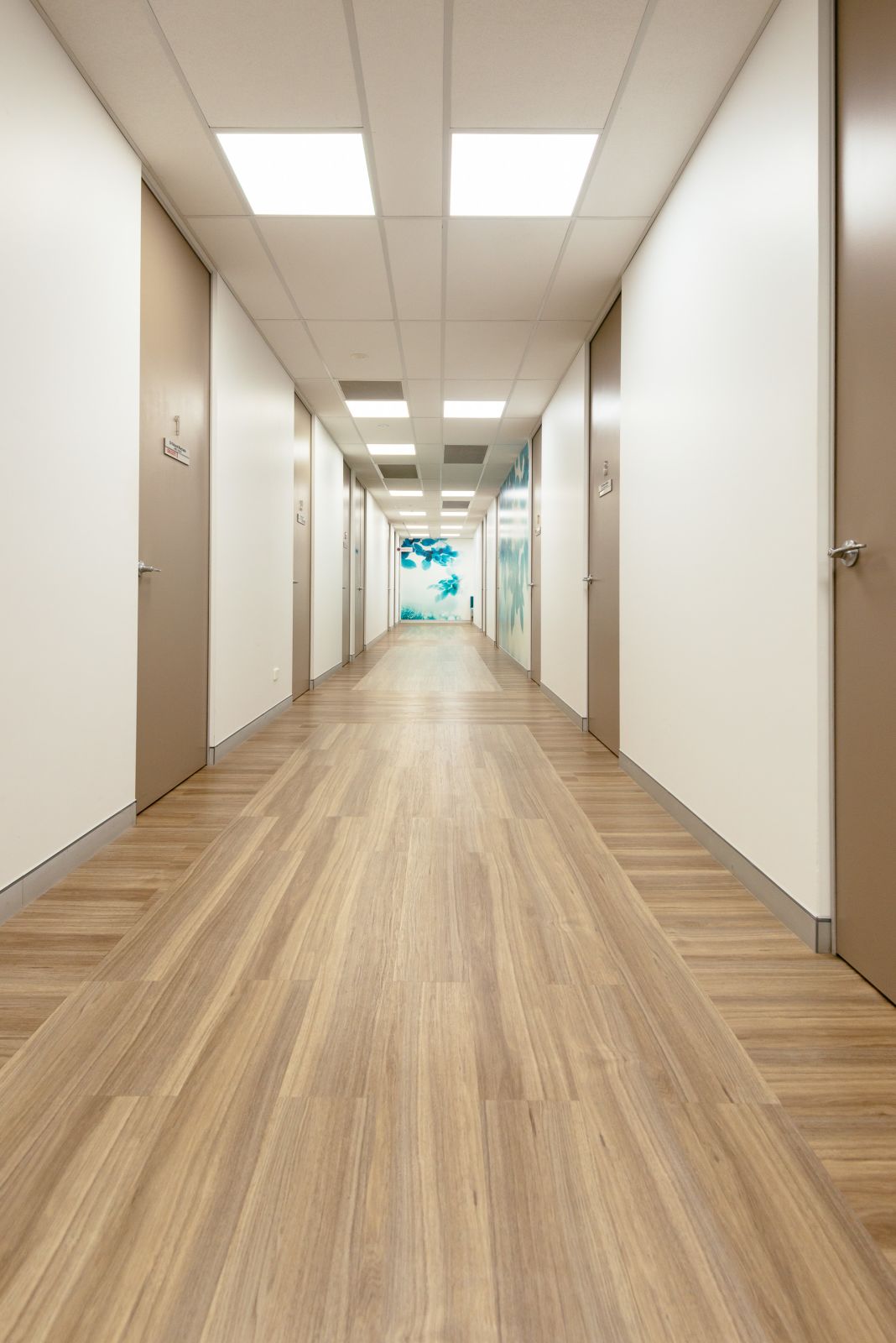 Queensland Silver Ash - Flinders Range Luxury Vinyl Planks