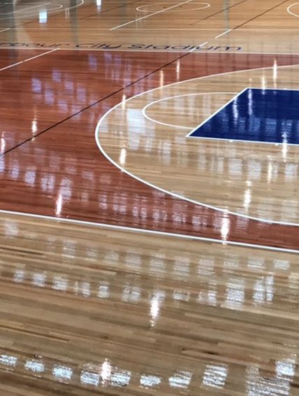 Safety Data Sheet - Active Sports Finisher Finishing Coat