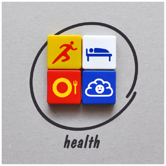 Support and Wellbeing