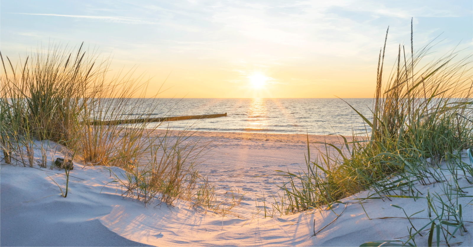 Myelodysplastic Syndromes