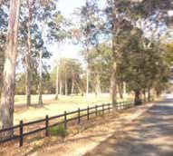 Bushland Living Relaxing road