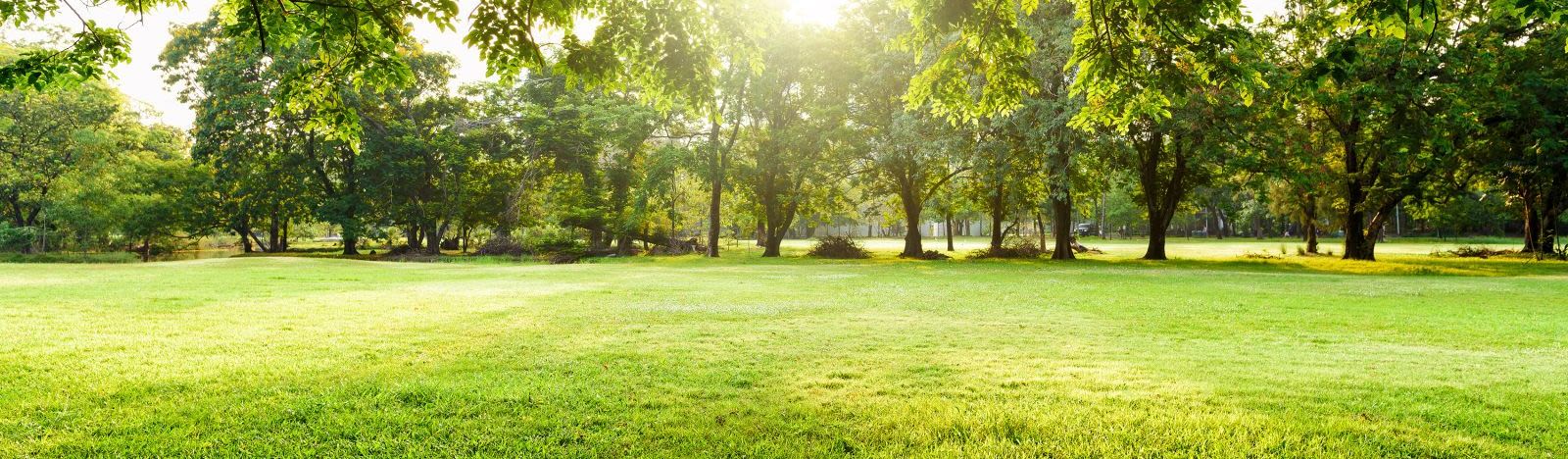 Text overlay background image - Serene park