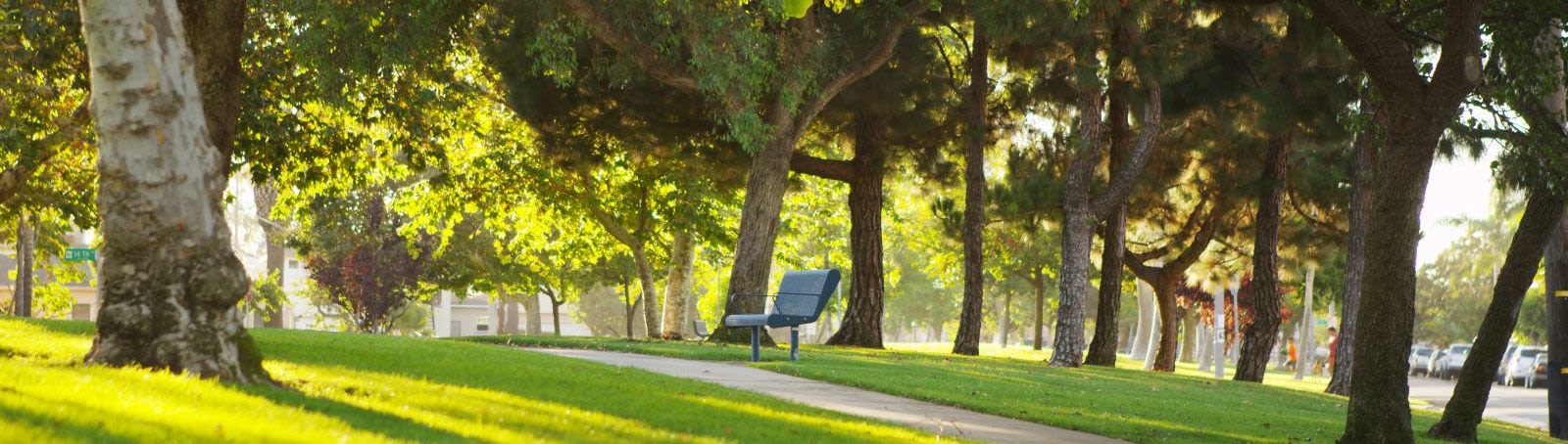 Text overlay background image - Park bench