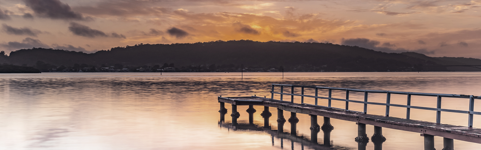 Banner image of pier