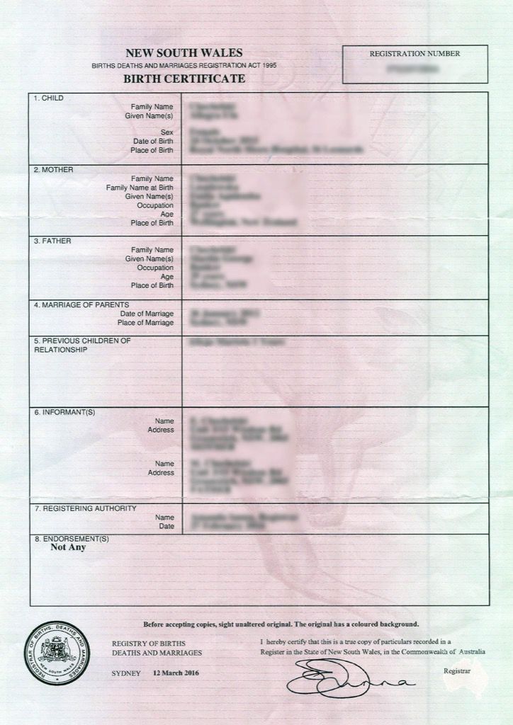 registration-number-mass-crash-report-manual