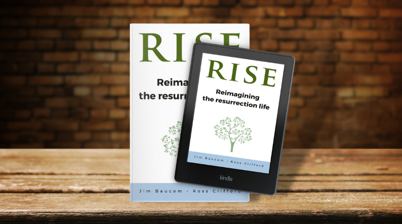 RISE book