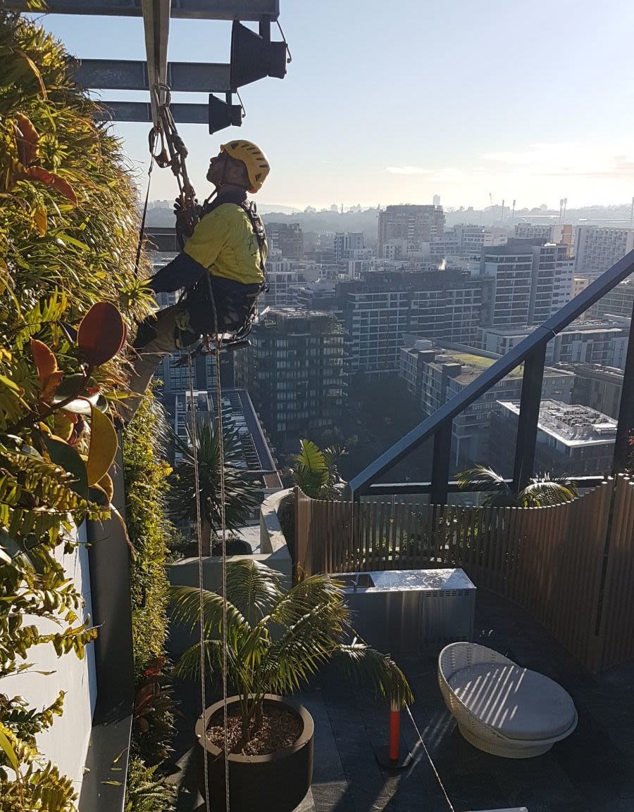a man climbing up the side of a tall building