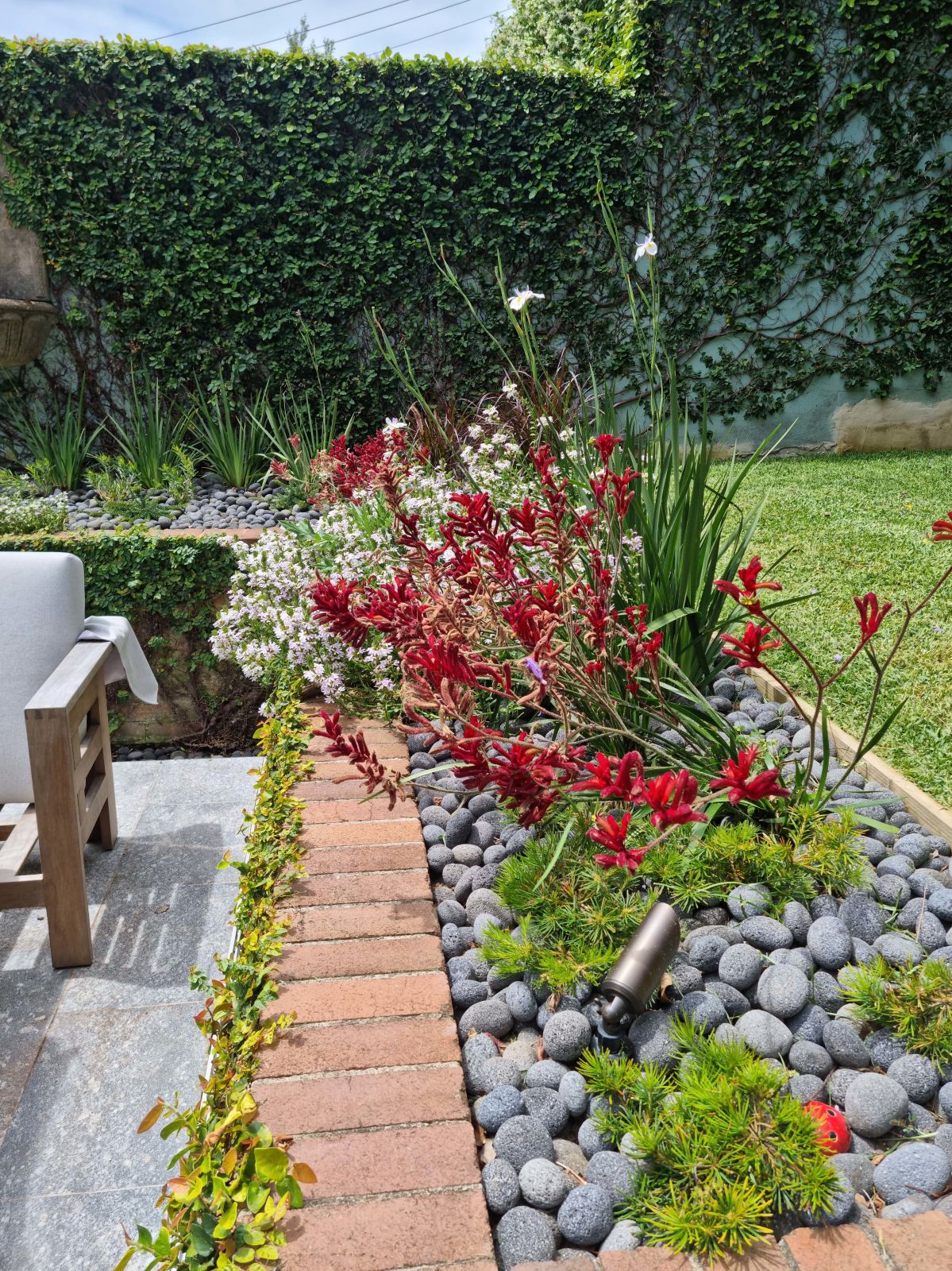 a garden filled with lots of rocks and flowers