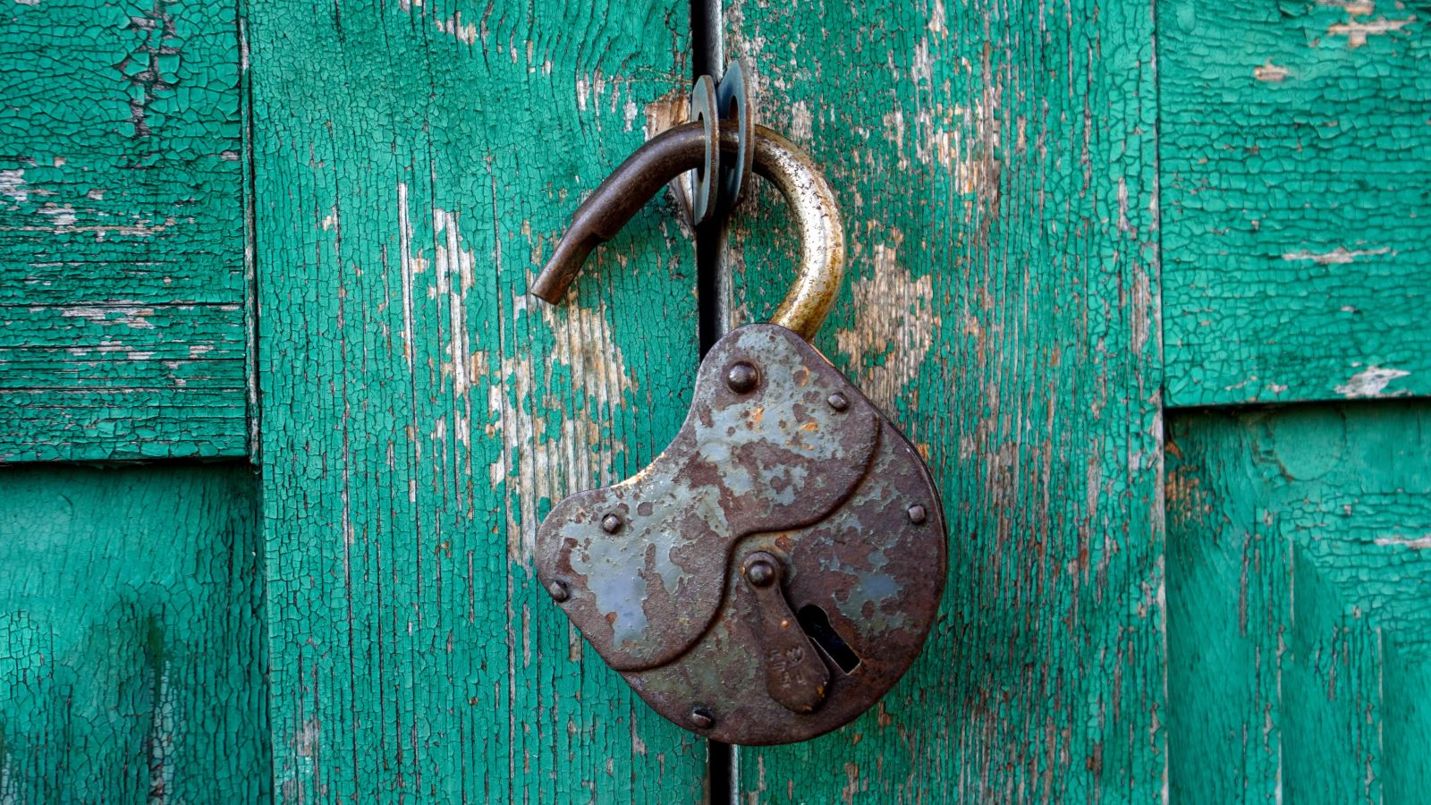 Photo of unlocked rusted padlock, green door