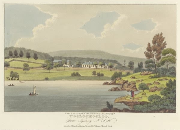 Painting of Wooloomooloo Bay Joseph Lycett