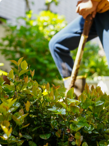 shovelling in the garden