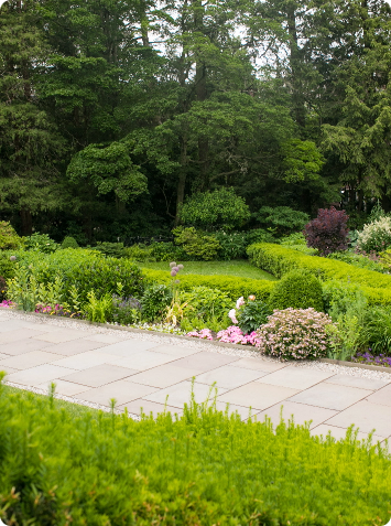 nicely paved garden