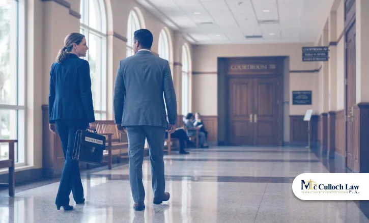 5) Dedicated Representation in Local Courts 5) Dedicated Representation in Local Courts