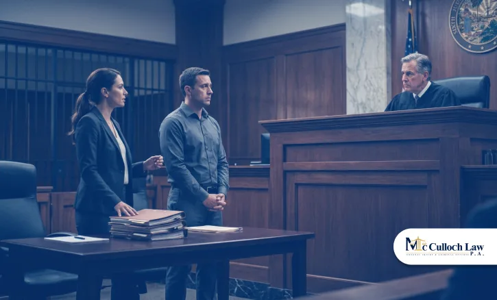 3) Why Are Felony Charges More Dangerous in the Sixth Judicial Circuit_ 3) Why Are Felony Charges More Dangerous in the Sixth Judicial Circuit_