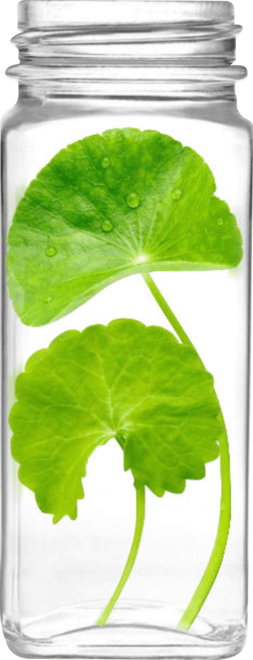 Restion Centella product jar