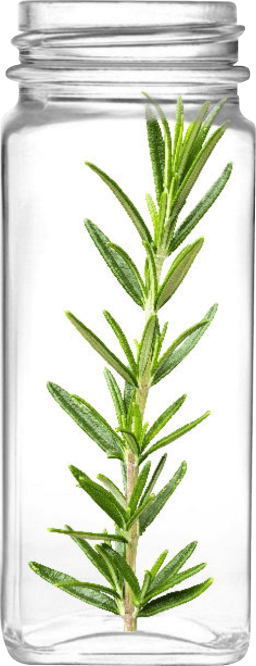 Restion Rosemary product jar
