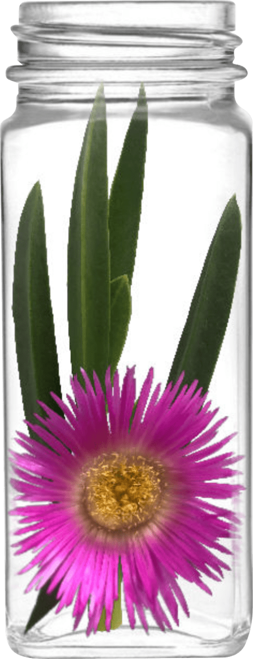 Restion Sour Fig product jar