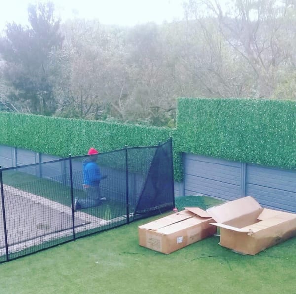 Easy Ivy collaboration residential steelwork by Steel Art Metal Work