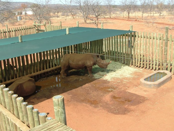 Wildlife bomas and breeding camps