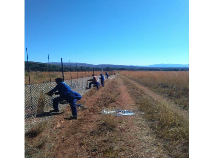 Agricultural and livestock fencing
