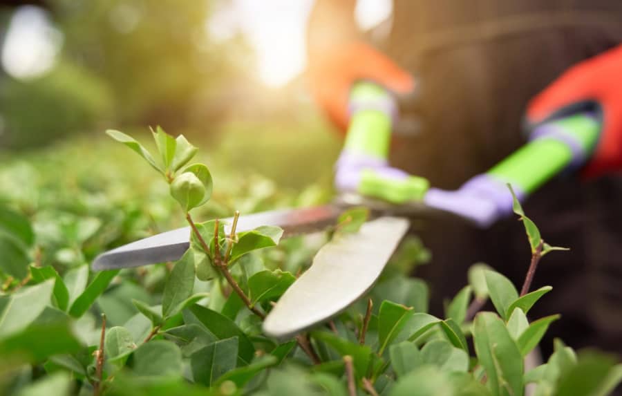 Garden on the Go garden care
