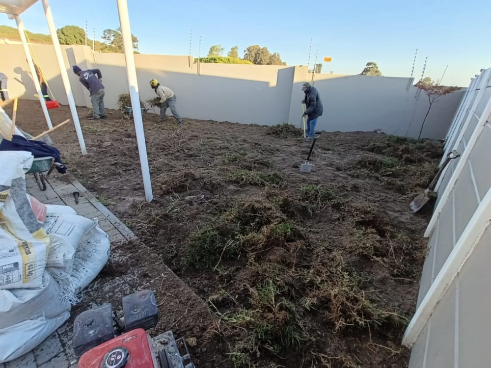 Before - Artificial grass and paving project in Table View