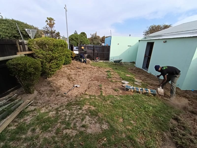 Mr Turf built-in pool project