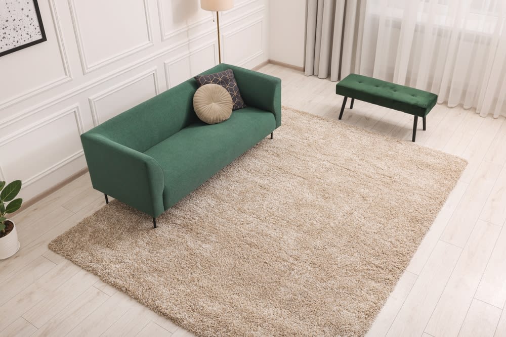 Professional carpet and upholstery cleaning