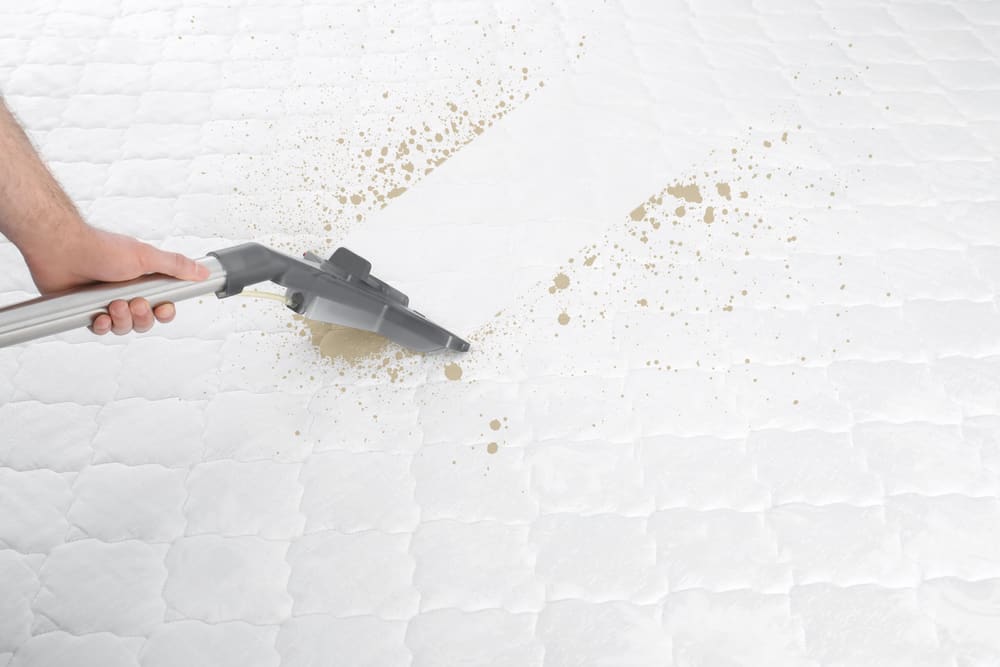 Mattress Cleaning