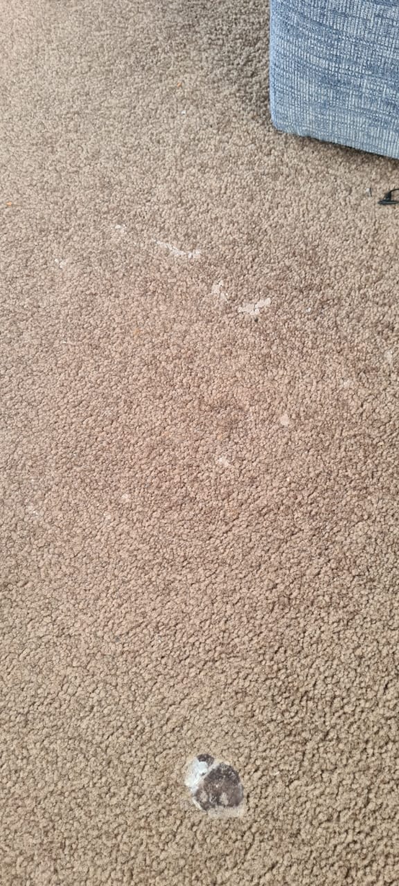 After cleaning image 2