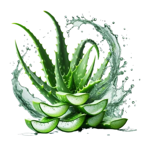 Aloe Vera Water Splash