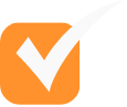 Fraud Investigation Icon