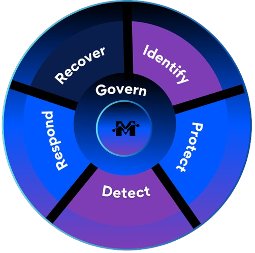 Cyber Security Wheel
