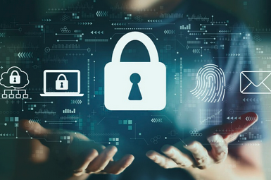Identity protection and cybersecurity training