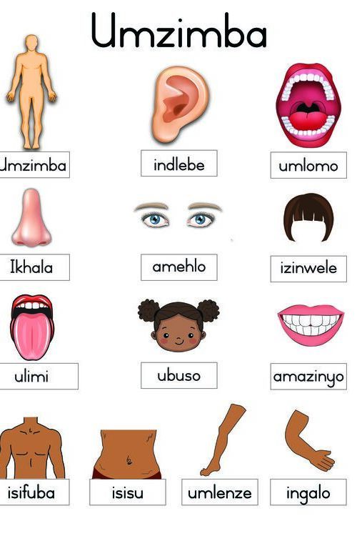 Umzimba