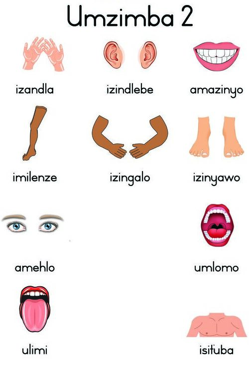 Umzimba 2