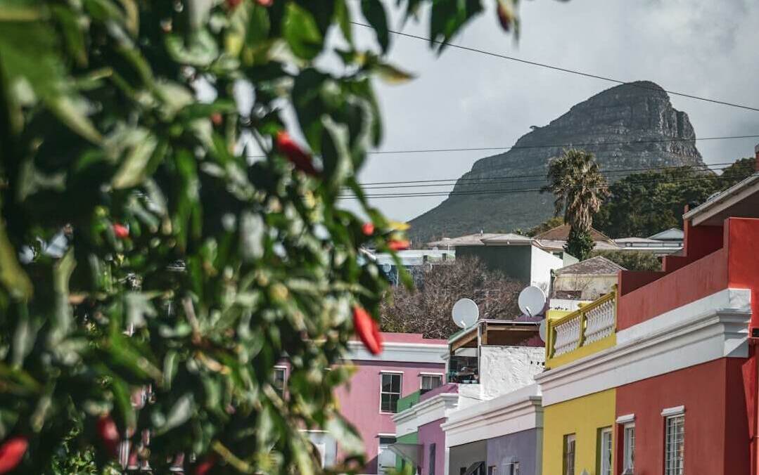 Township Cultural Tour