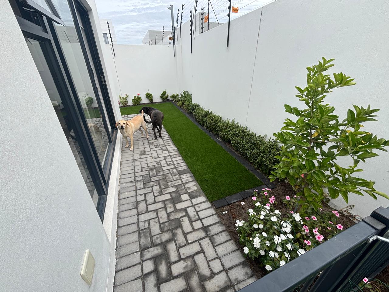 Mr Turf artificial grass project