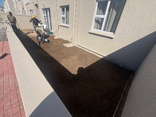 Before - Artificial grass and paving project in Table View